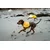 Ruffwear Sun Shower™ Jacket, Earth Brown