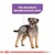 Royal Canin Mini Sterilised - 1 kg