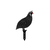 WALLXPERT Dekorativni set Quails