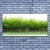 tulup.si Slika na platnu Grass nature voda rastlin 125x50 cm