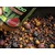Hrana za krape Carp Attract Activator 500ml Pure Krill