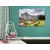 Slika grad Chenonceau - 60x40