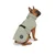 33 Carinio Alpine Thermo Mint M Dog Jacket