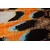 Conceptum Hypnose Tepih, 80x200cm, Šareni