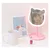 Pink it ogledalo Cat