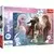 Tref line 23006 puzzle 300 froze ( t30062 )