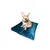 Spot Pet jastuk plišani 60x75 /15 cm-L