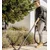 KARCHER  Usisivač mokro/suho WD3