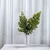 Stabilizirana praprot - Adiantum