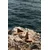 Ferm Living Dekorativna figura 2-pack