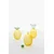 Ichendorf Milano karafa iz barvanega stekla Fruits and Flowers 1,1 l