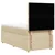 vidaXL vidaXL Box spring postelja z vzmetnico krem 80x200 cm blago, (21307904)