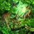 Ravensburger puzzle (slagalice) - Dinosaurus