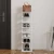 HANAH HOME Ormar za cipele Ayka White