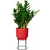 elho b.for studio rund 22cm