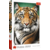 PUZZLE 1500 tigar