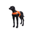 RUKKA PETS Varnostni odsevni jopič za pse Game Vest S