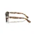 Persol Sunčane naočare 0PO8002S 1243B1, Smeđe