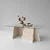 HANAH HOME Sto za dnevnu sobu Canyon Travertine Transparent