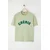 Trendyol Milla Ženska majica TWOSS25TS00161, Zelena