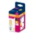 LED filament sijalica 2700K 11W E27 OSRAM
