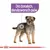 Royal Canin STERILISED CARE DOG, vlažna hrana za pse 12x85g