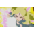 Switch Naruto X Boruto Ultimate Ninja Storm Connection - Ultimate Edition