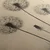 Slika odlet upanj - 60x30