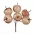 Autronic Okrasitev Apples on a wire - beige, price per pack (36 pcs) (PRA013 BEI)