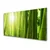 tulup.si Steklena slika Bamboo rastlin 140x70 cm 2 obešalnika