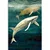 Slika kiti v oceanu - 20x30