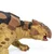 Safari Ankylosaurus