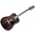 CRAFTER akustična kitara MD 70-12/TBK