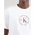 Calvin Klein Jeans Majica antracit/brusnica/bela