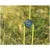 6-person tent Outwell Sky 6