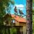 Aberto Design Dekorativna figura Bird On The Branch 09, 45x39 cm, 1.5 mm