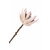 Umetne rože House Nordic King Protea Bouquet