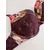 B by Ted Baker Nedrček jajčevec/roza/rdeča