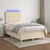Vidaxl Box spring postelja z vzmetnico LED krem 120x190 cm blago