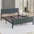 Hanah Home Francuski ležaj Lotus, 120x88x200 cm, Antracit