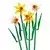 LEGO Botanical Narcisi 40747