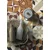 Decormat Vinil preproga Mešanica modelov 80x120 cm