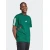 ADIDAS SPORTSWEAR Funkcionalna majica TIRO temno zelena/rdeča/bela