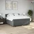 Vidaxl Box spring postelja z vzmetnico temno siva 200x200 cm blago