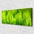tulup.si Slika na platnu Green grass dew drops 120x60 cm