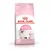 Royal Canin Hrana za mačke Health Nutrition Kitten