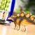 Safari Stegosaurus dinozaver