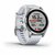 Športna ura Garmin Fenix 7S - Stainless Steel