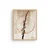 Wallxpert Slika Huhu739, 40 x 60