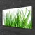 tulup.si Slika na platnu Grass on wall 100x50 cm